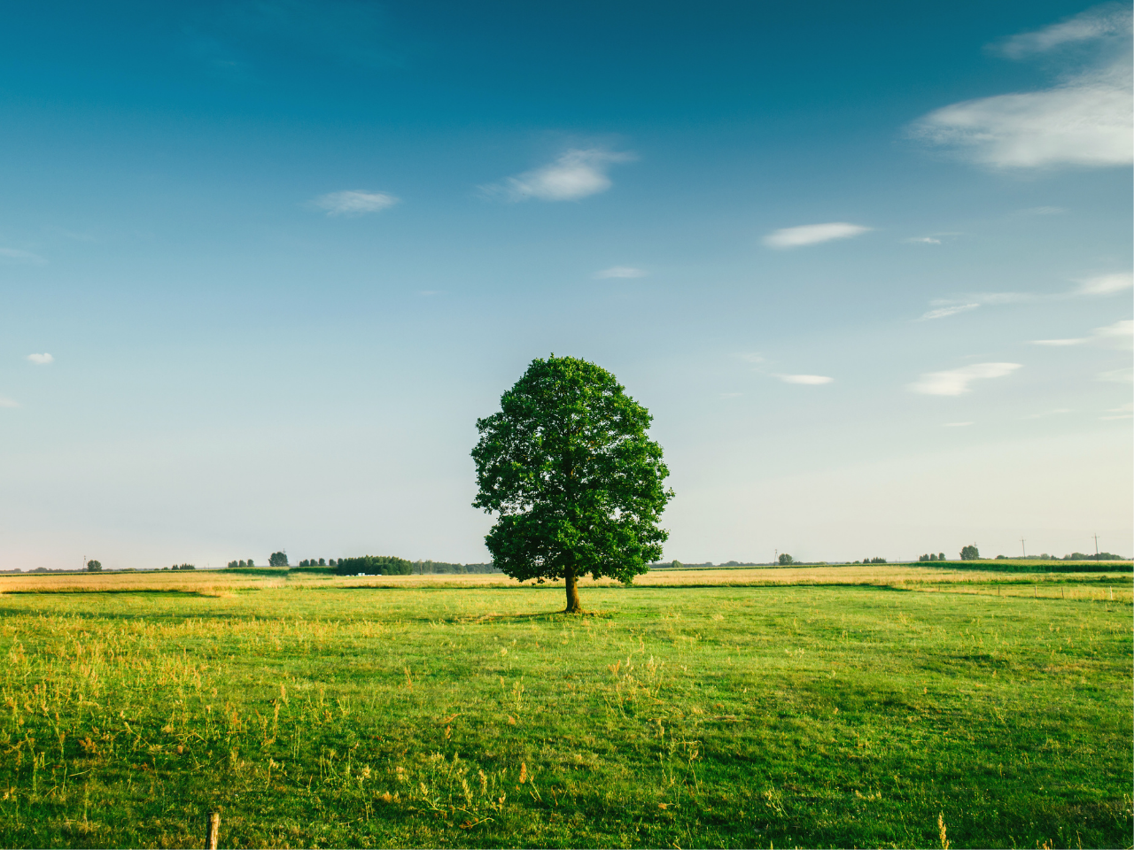 Knowle Park Circular {Walking distance 6 miles}