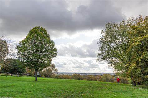 Mindful peaceful and beautiful walking and Meditation Class - day with Carmina