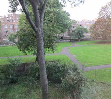 Mindful peaceful and beautiful walking and Meditation Class - day with Carmina
