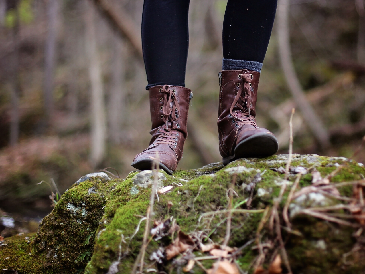 The Falconwood Circular Walk { 5 miles approx} Keith Slaughter