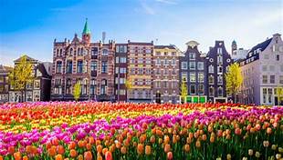 A FUN, FLOWER-FILLED 4 DAYS IN AMSTERDAM INCLUDING TRAIN TRAVEL BY EUROSTAR