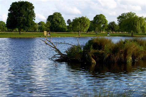 Kingston Circular Walk via Bushy Park, distance 4.2 miles