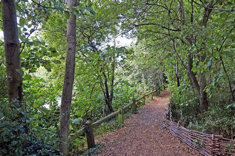 The White Swan Highbury & Islington to Little Venice via Camley Natural Park