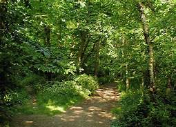 Heavenly Heights of Hampstead walking tour with Blue Badge Guide Laurence