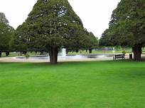 Scenic riverside walk. Kingston - Hampton Court; lunch, return via Bushy Park.