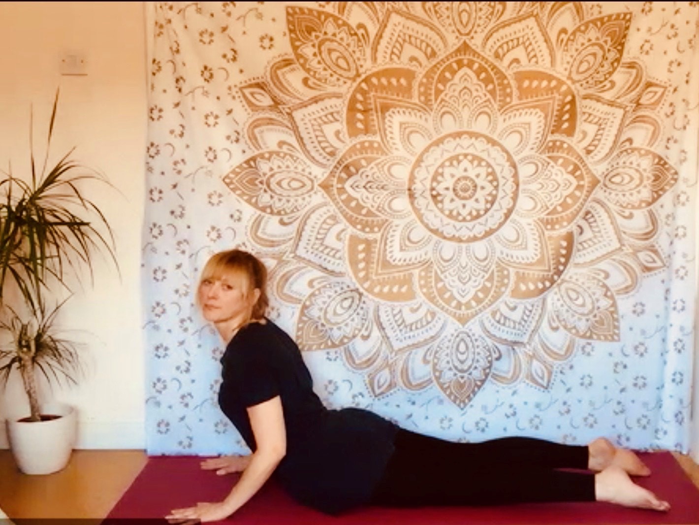 Gentle yoga flow plus yoga nidra with Loreta 6.30 - 7.30pm 23-12