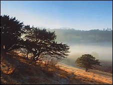 A New Years Day walk among the Surrey hills