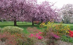 Walking through 4 Lewisham Parks, from Ladywell to Hither Green.