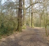 Pauls Saturday Walk- Petts Wood to Keston Village
