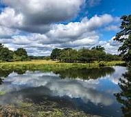 Weybridge Circular {8 Miles}
