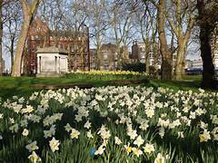 Mindful peaceful and beautiful walking and Meditation Class - day with Carmina