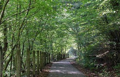 The Old Railway, The Canal & The Quaker { Bushey to Rickmansworth}