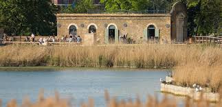 Explore Woodberry Wetlands and Walk the New River Path
