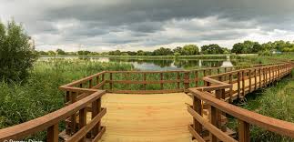 Explore Woodberry Wetlands