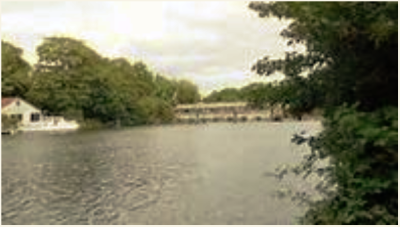 Shepperton to Hampton Court exploring the Thames Path (walking dist 6.5 miles)