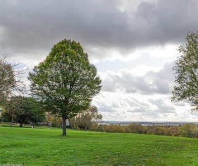 Picturesque Wednesday walk with Paul - Stratford to Woolwich Arsenal