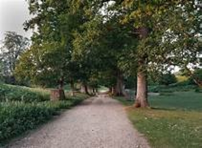 Sevenoaks: Knole Park and Ightham Mote