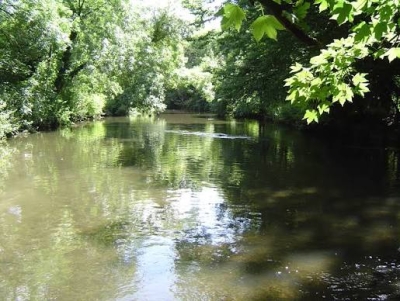 Twickenham to Hatton walking along the River Crane
