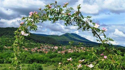 Rose valley, Plovdiv, Sofia and rose festival in Bulgaria 2024